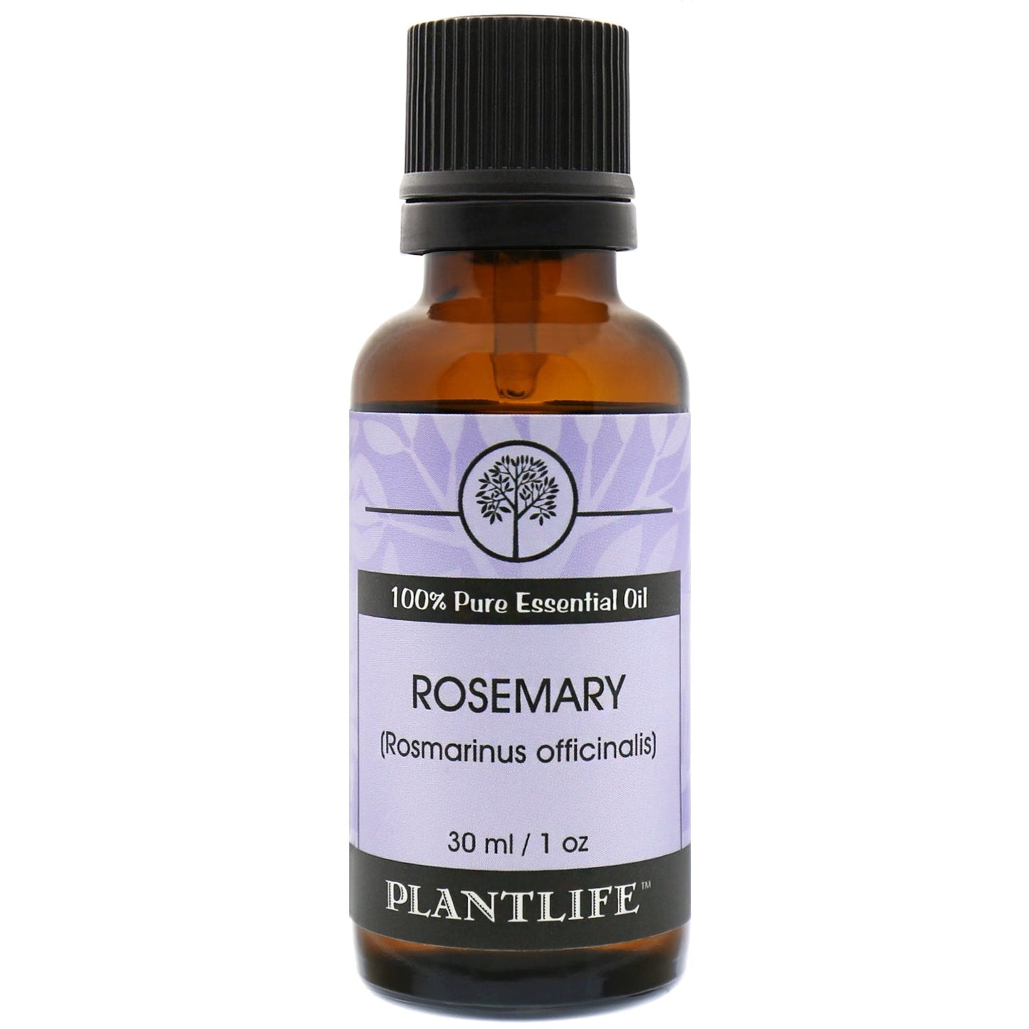 Rosemary Essential Oil - Tree Spirit Wellness