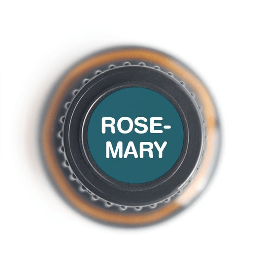 Rosemary Essential oil - 15ml - Tree Spirit Wellness