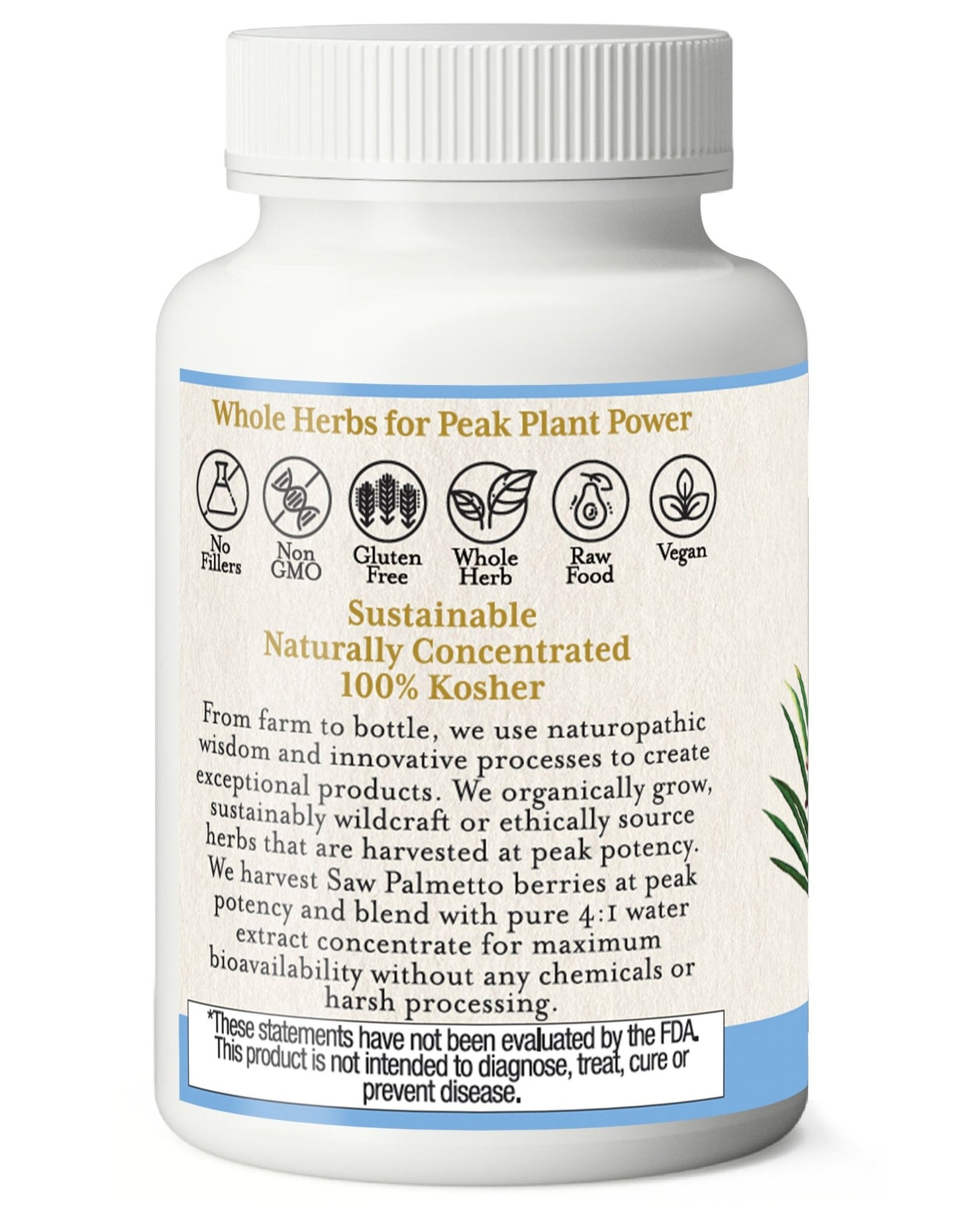 SAW PALMETTO CAPSULES - Tree Spirit Wellness