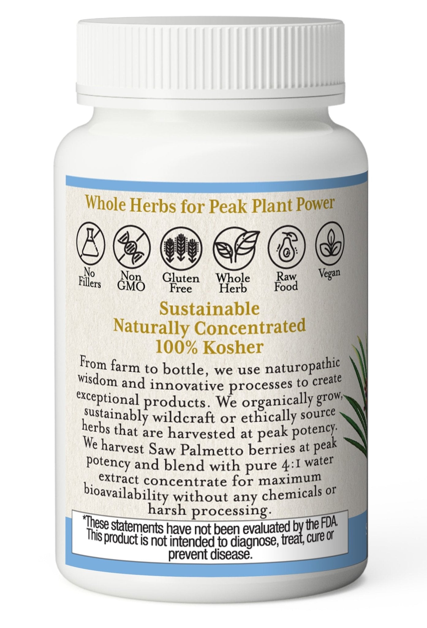 SAW PALMETTO CAPSULES - Tree Spirit Wellness