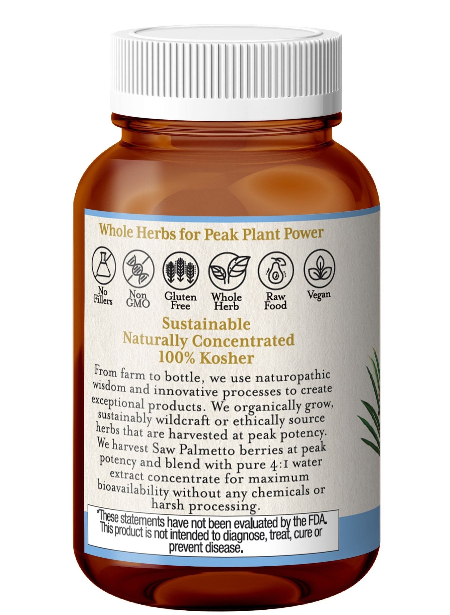 SAW PALMETTO CAPSULES - Tree Spirit Wellness