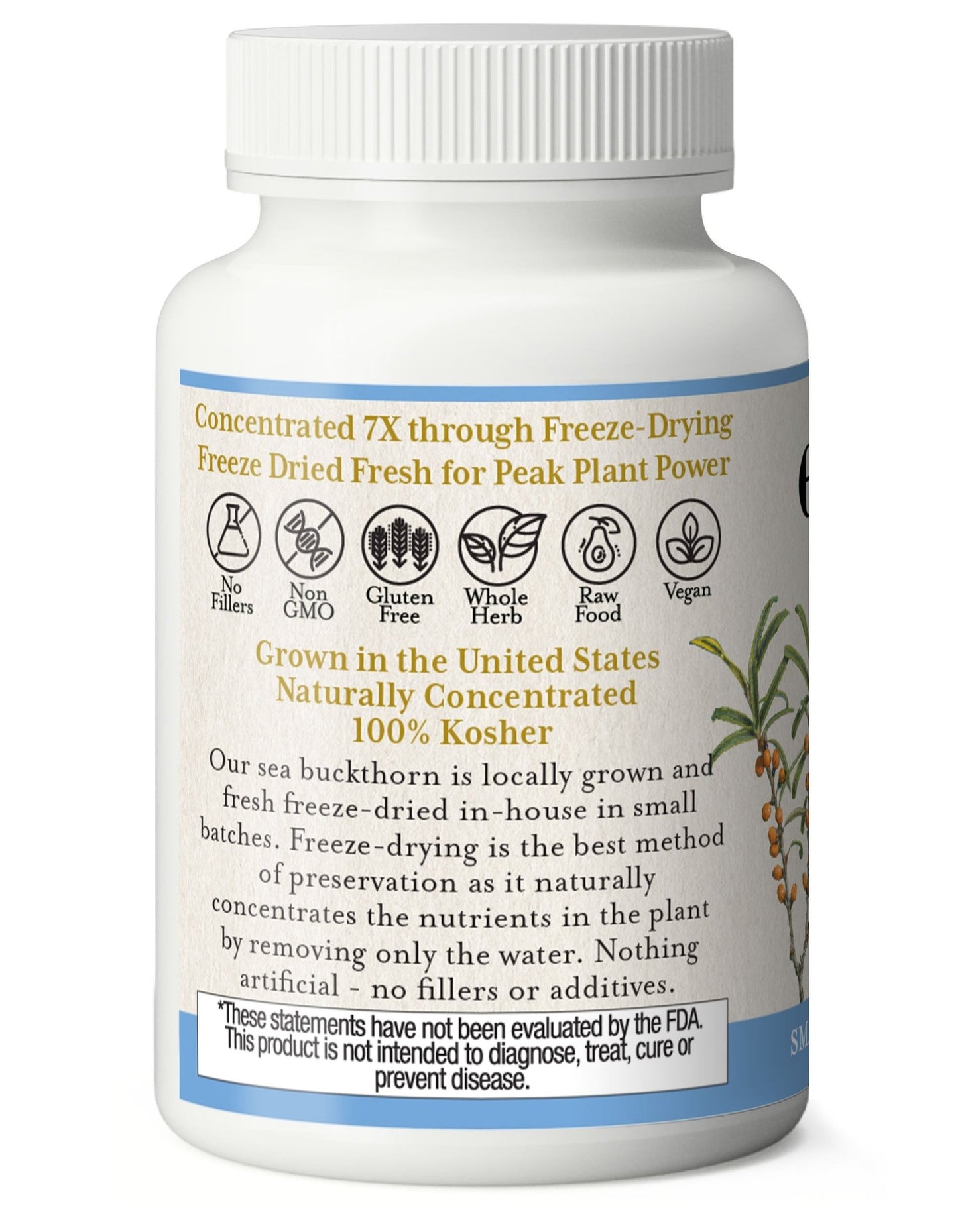 SEA BUCKTHORN CAPSULES - Tree Spirit Wellness