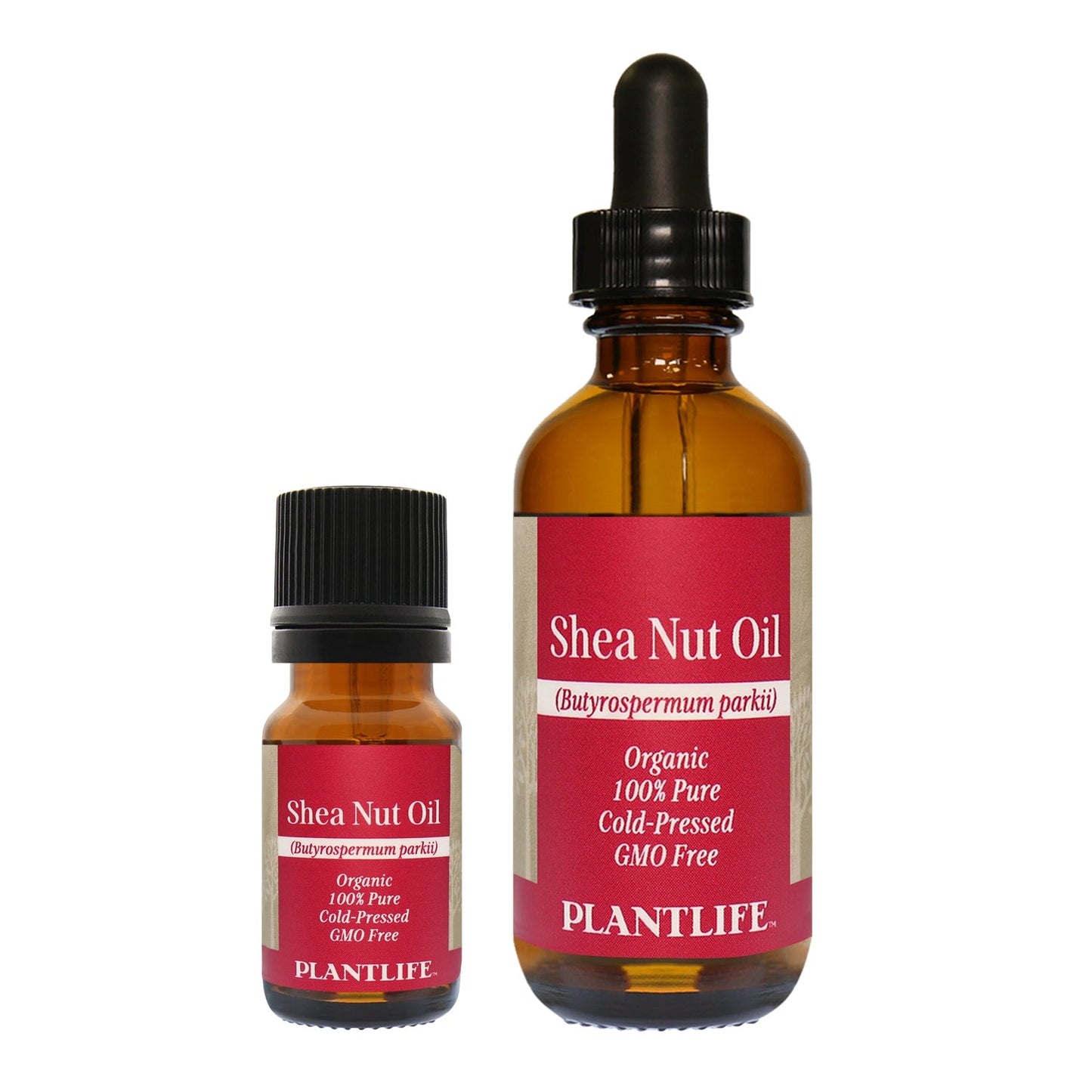 Shea nut oil - Tree Spirit Wellness