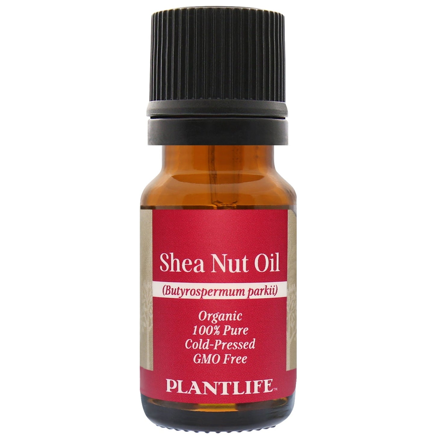 Shea nut oil - Tree Spirit Wellness