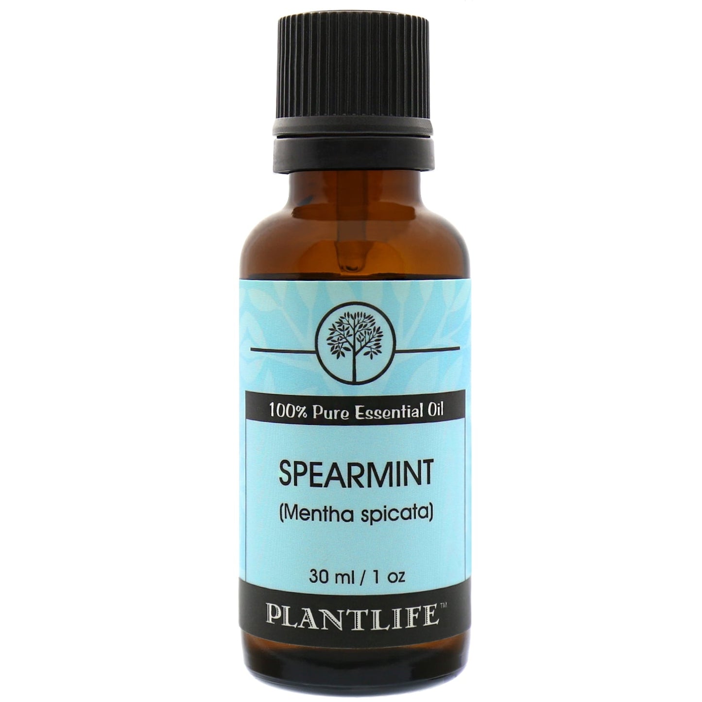 Spearmint Essential Oil - Tree Spirit Wellness