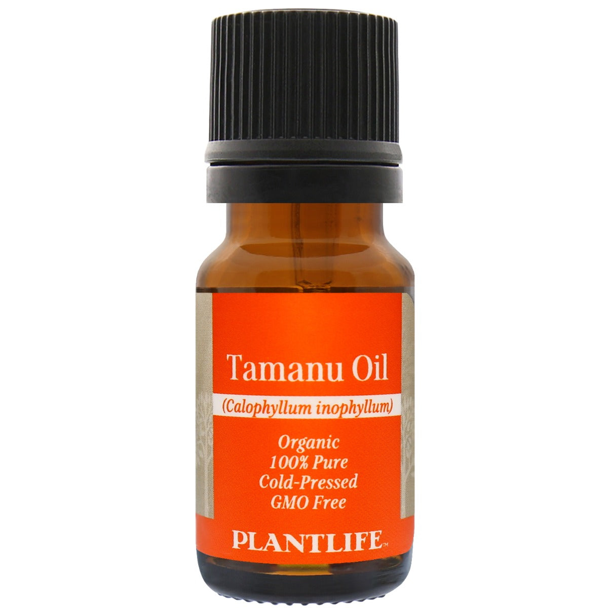 Tamanu Oil - Tree Spirit Wellness