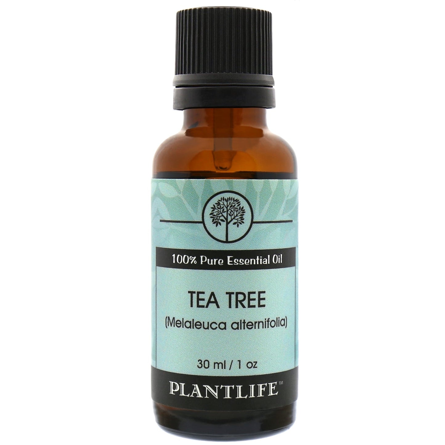 Tea Tree Essential Oil - Tree Spirit Wellness