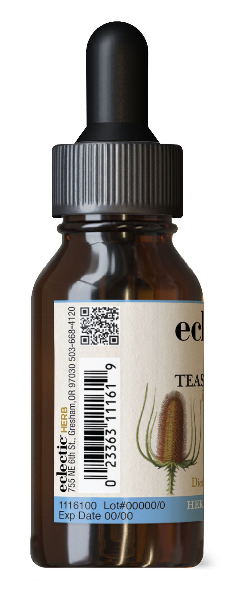 TEASEL ROOT EXTRACT - Tree Spirit Wellness