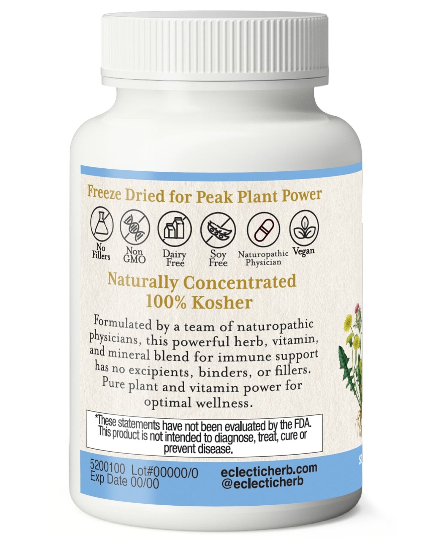 VITA LIPOTROPIC CAPSULES - Tree Spirit Wellness