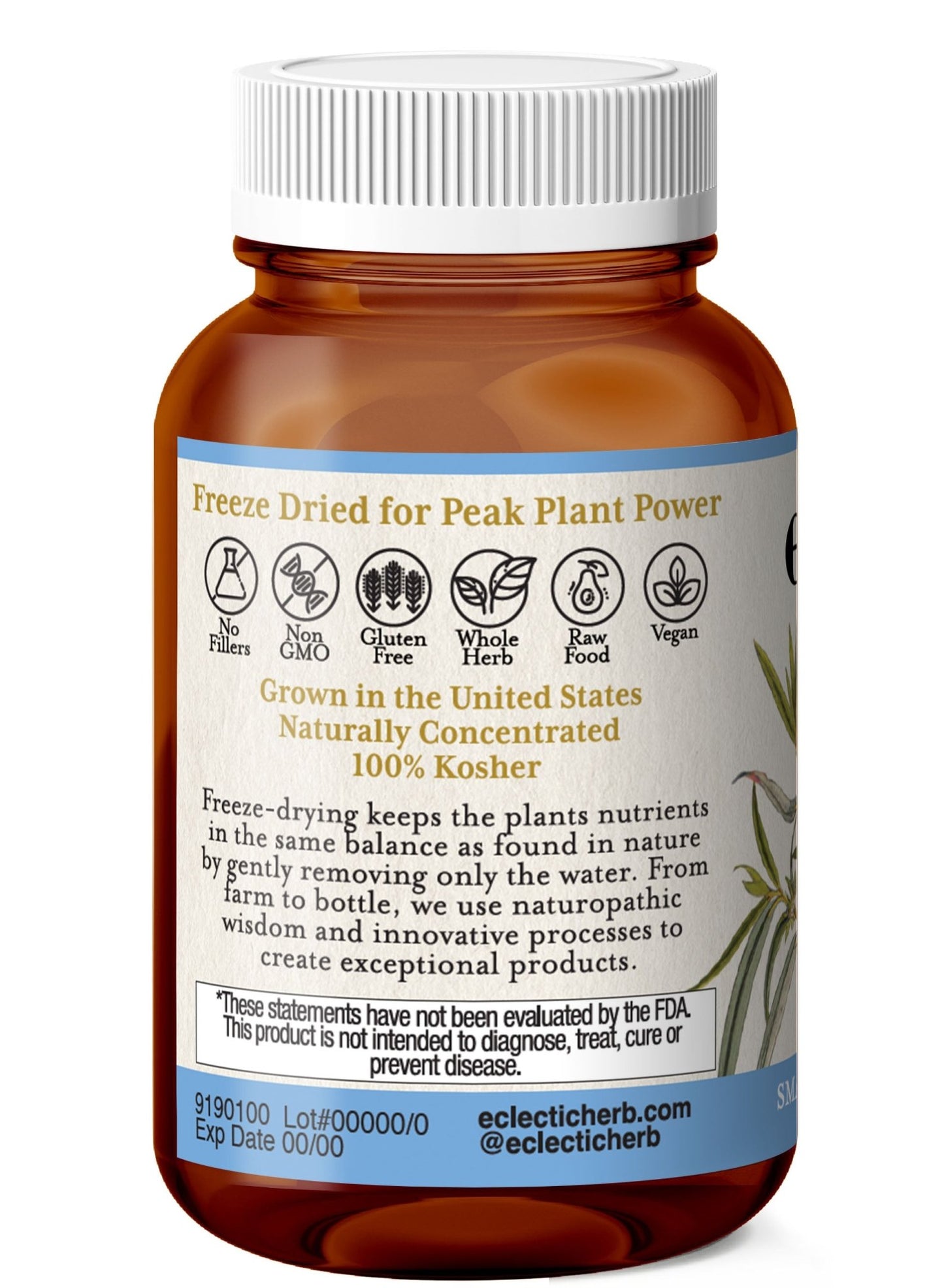 WHITE WILLOW - FEVERFEW CAPSULES - Tree Spirit Wellness