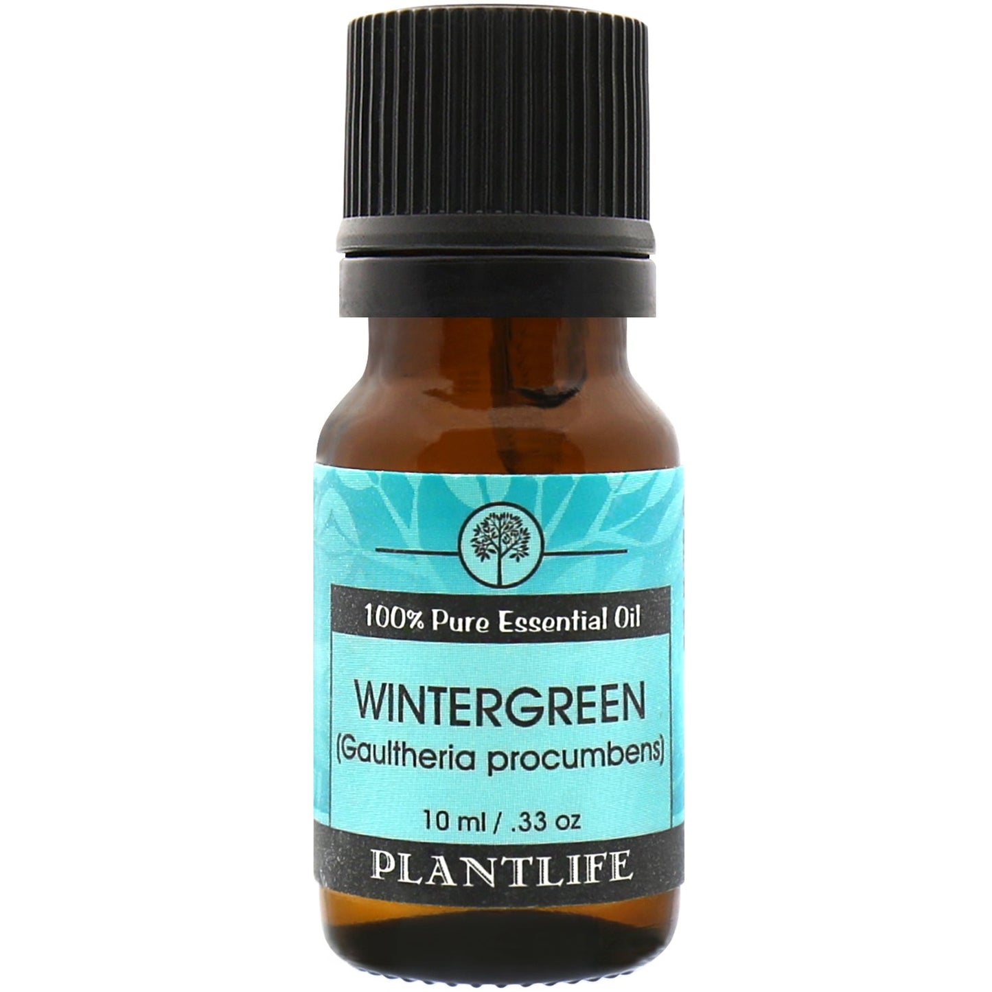 Wintergreen Essential Oil - Tree Spirit Wellness