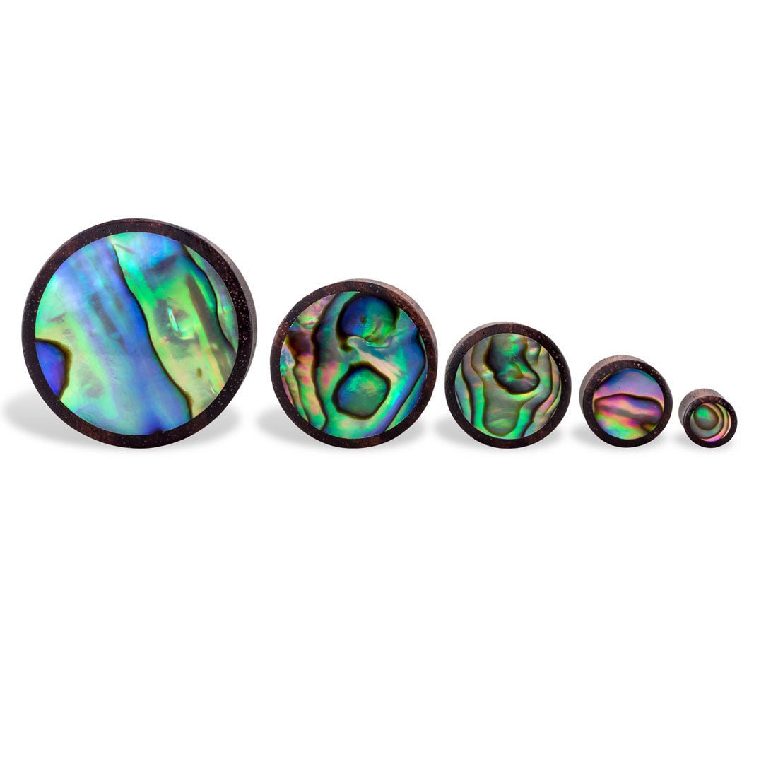 Abalone Plugs - Brown Wood - Tree Spirit Wellness
