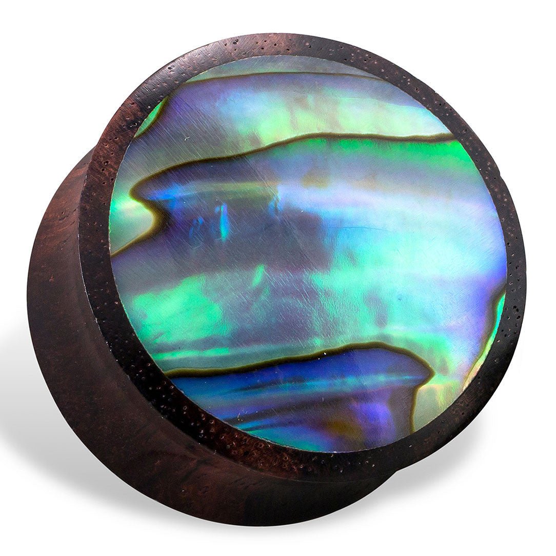 Abalone Plugs - Brown Wood - Tree Spirit Wellness