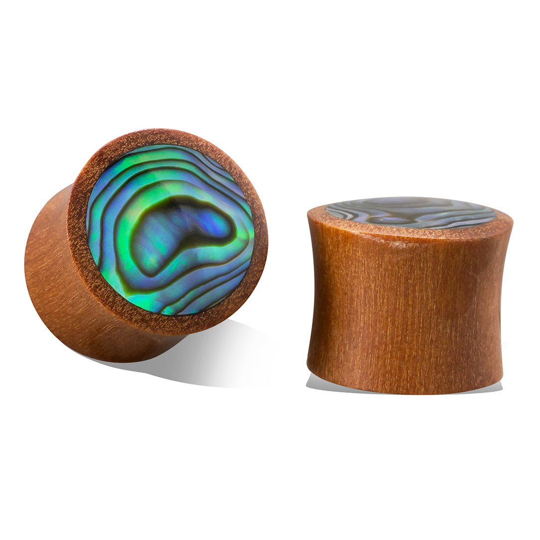 Abalone Plugs - Tan Wood - Tree Spirit Wellness