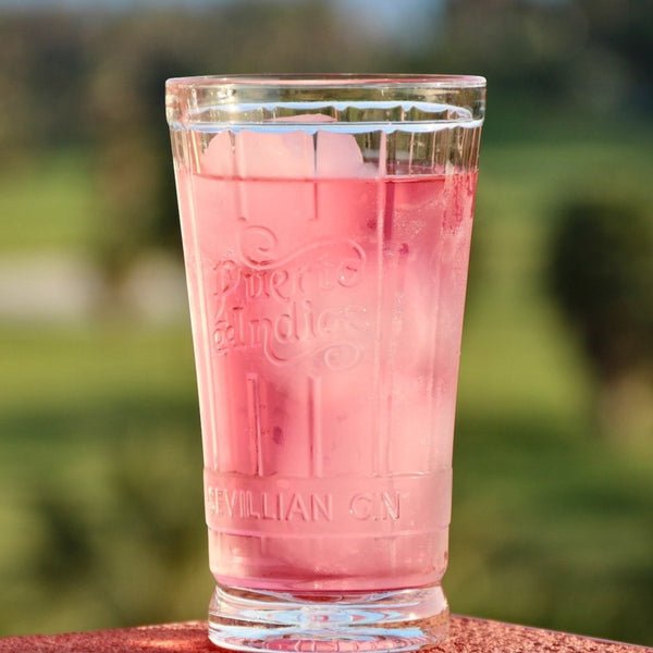 Abundant-B® High Dosed B-12 & Biotin Pink Lemonade drink mix solution - Tree Spirit Wellness