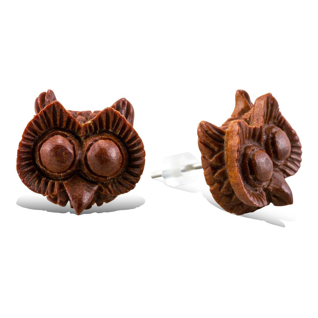 Big Eyed Owl - Wood Stud Earrings - Tree Spirit Wellness