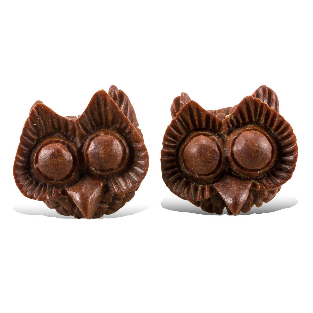 Big Eyed Owl - Wood Stud Earrings - Tree Spirit Wellness