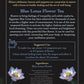 Blue Lotus Tea - Tree Spirit Wellness
