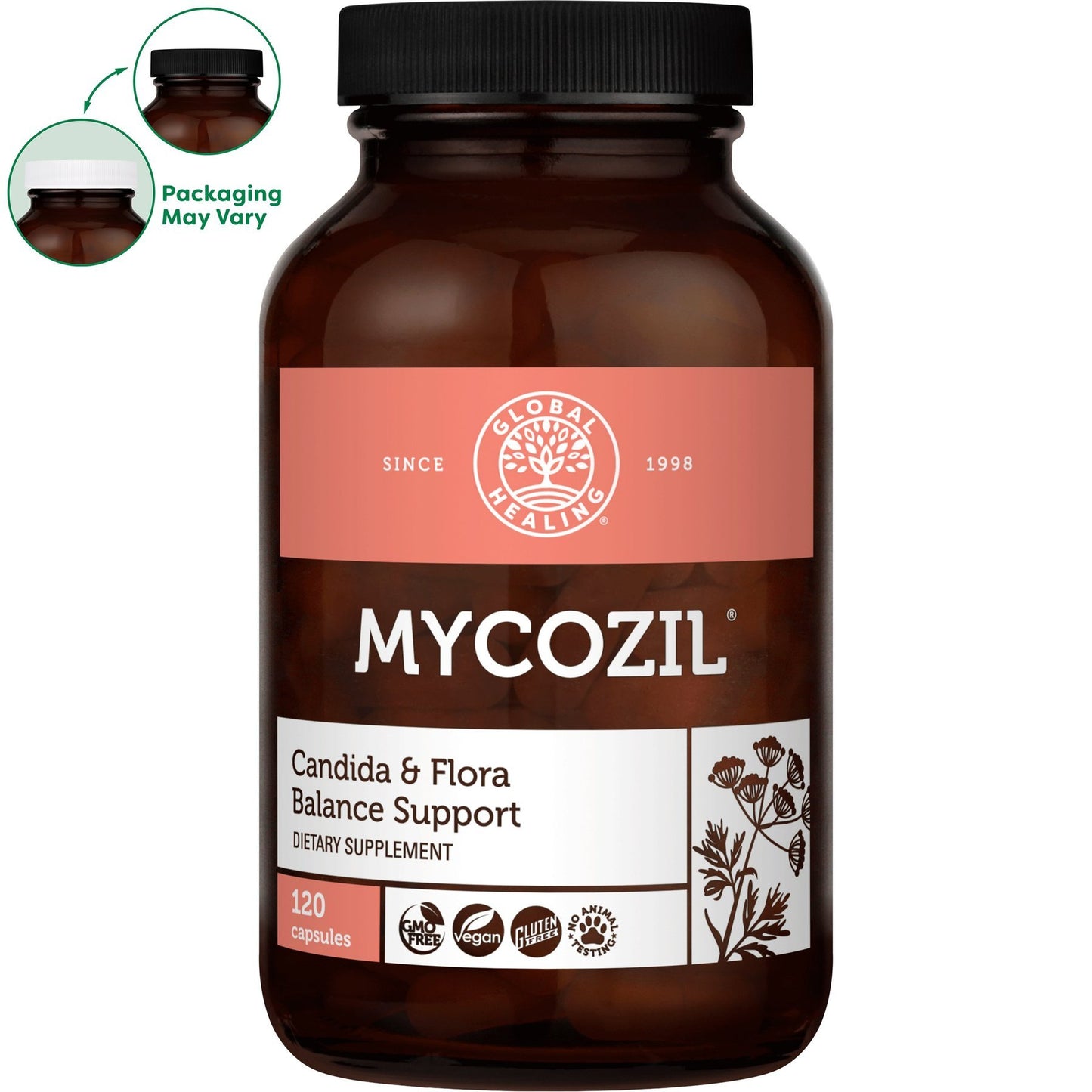 Complete Body Cleanse Program freeshipping - Tree Spirit Wellness