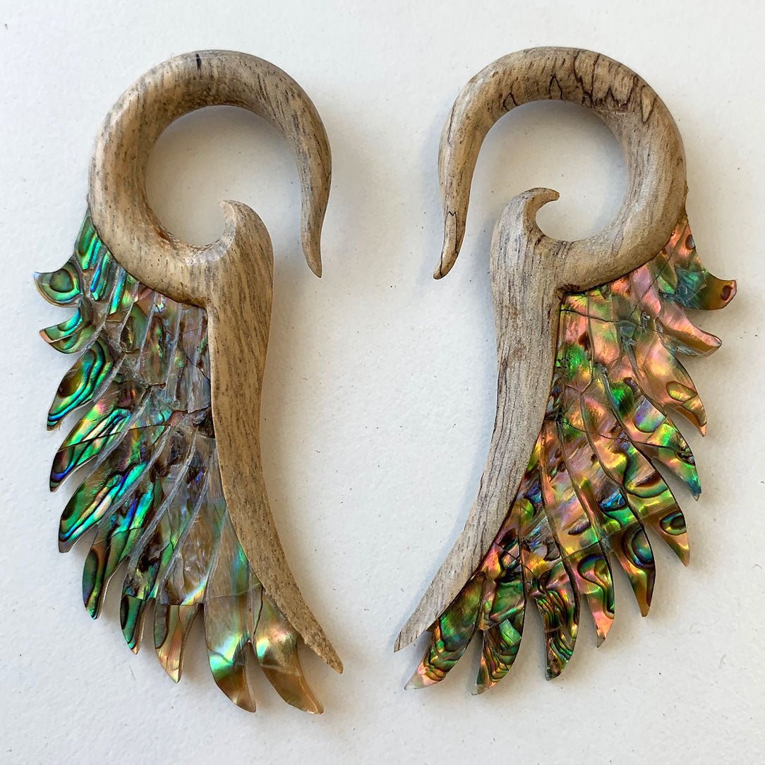 Flared Wings 4ga - Wood & Abalone - Tree Spirit Wellness