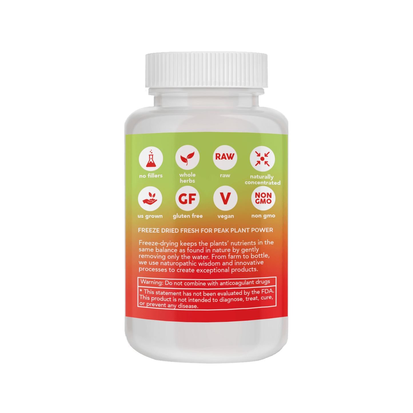 GINKGO CAPSULES *PLASTIC BOTTLE* - Tree Spirit Wellness