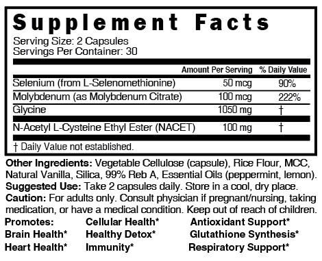 GlyNAC-ET 100mg - 60ct - Tree Spirit Wellness