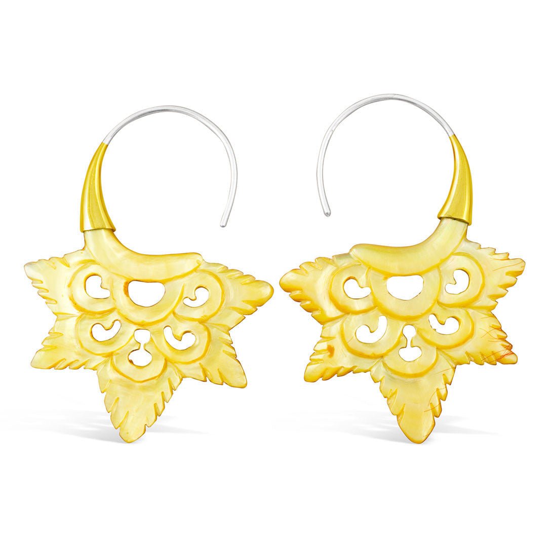 Golden Star - Shell - Tree Spirit Wellness