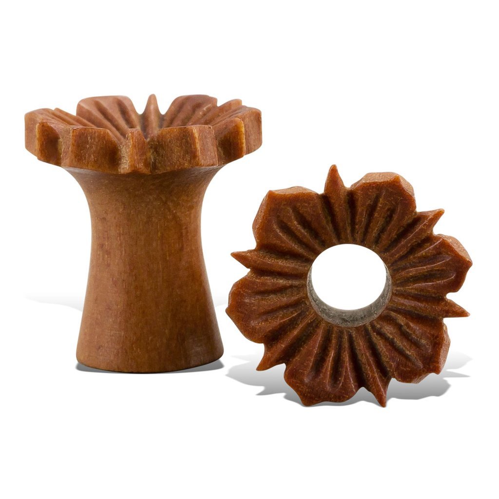 HIBISCUS TUNNELS freeshipping - Tree Spirit Wellness