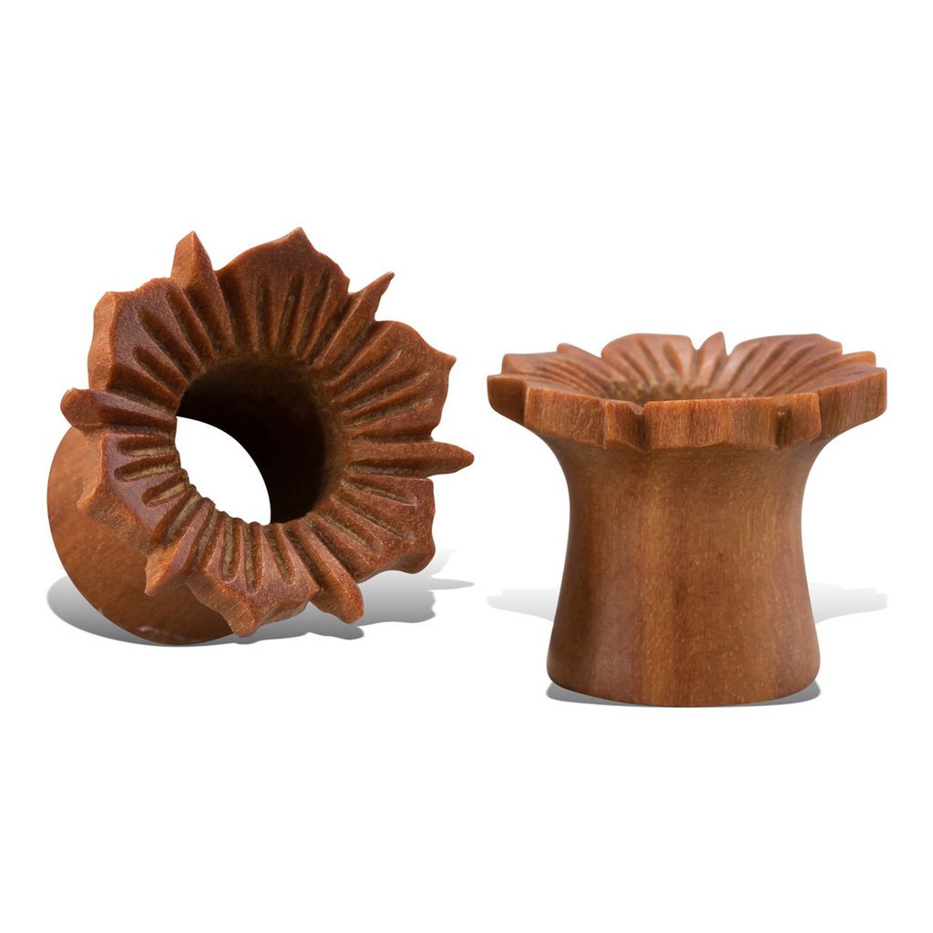 HIBISCUS TUNNELS freeshipping - Tree Spirit Wellness