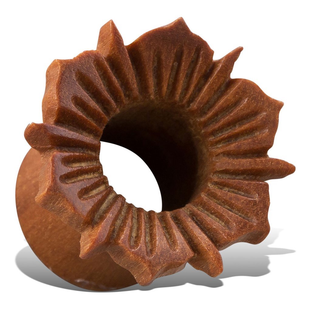 HIBISCUS TUNNELS freeshipping - Tree Spirit Wellness