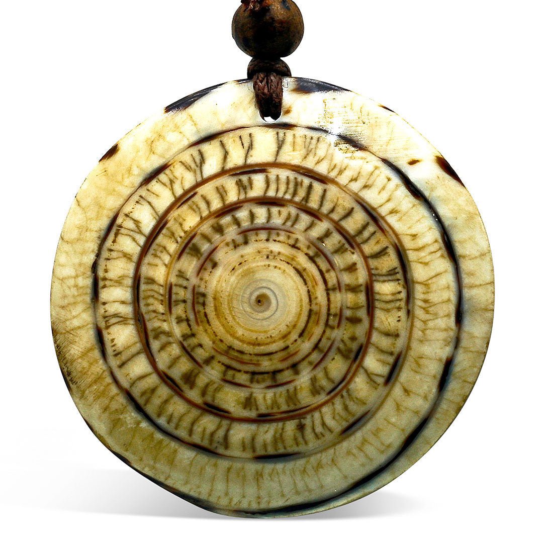 Labyrinth Shell Pendant - Tree Spirit Wellness