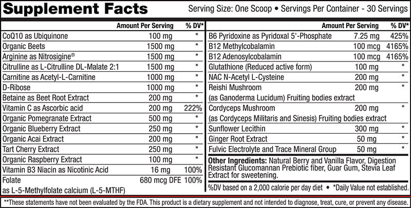 Live Active Cardio Excel - Tree Spirit Wellness