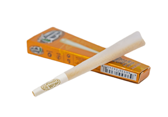Medium Thin Paper Cones - Tree Spirit Wellness