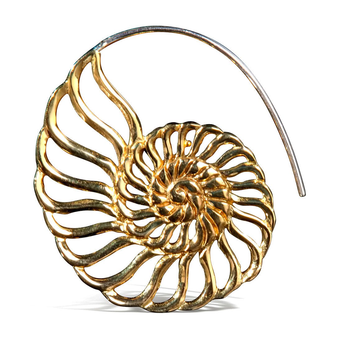 Nautilus Spirals - Silver Posts - Tree Spirit Wellness