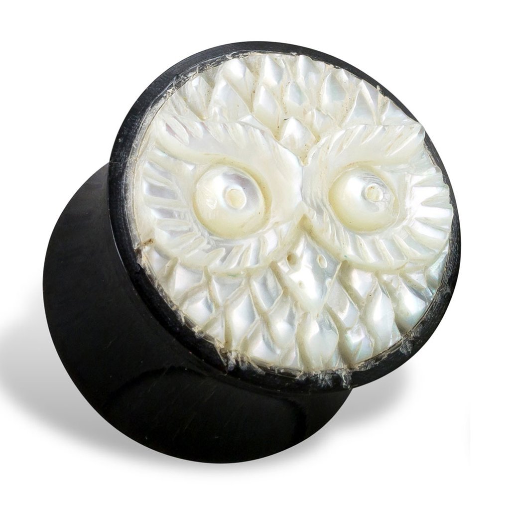 OWL SHELL PLUGS freeshipping - Tree Spirit Wellness