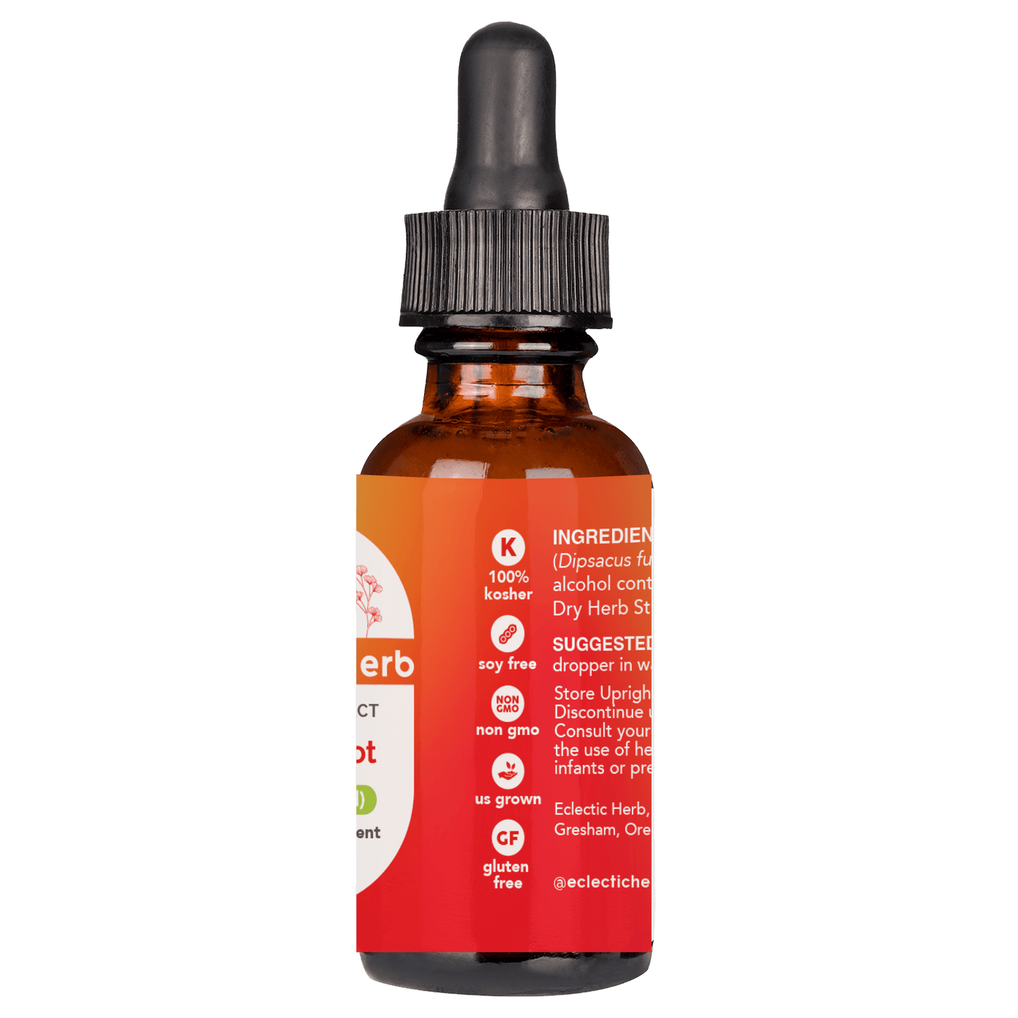 TEASEL ROOT LIQUID - Tree Spirit Wellness