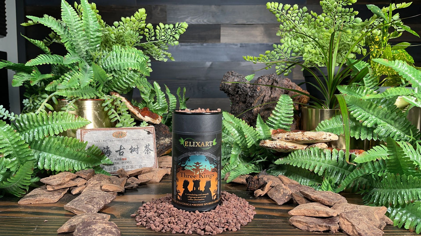 Three Kings - Tree Spirit Wellness