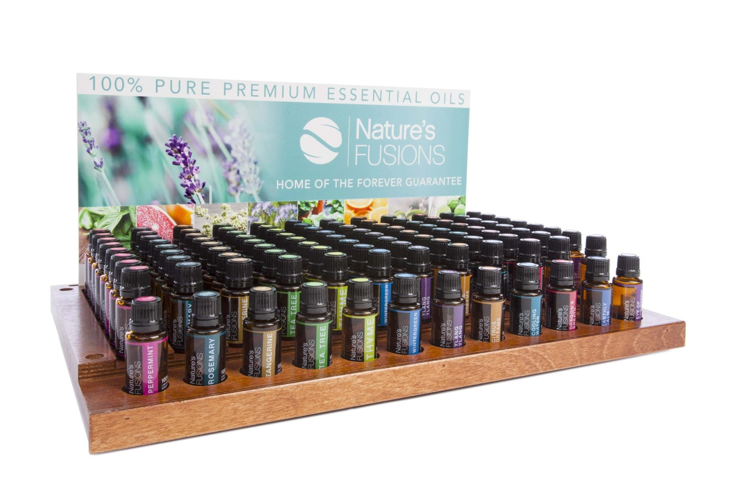 Top 12 Essential Oils Display - Tree Spirit Wellness