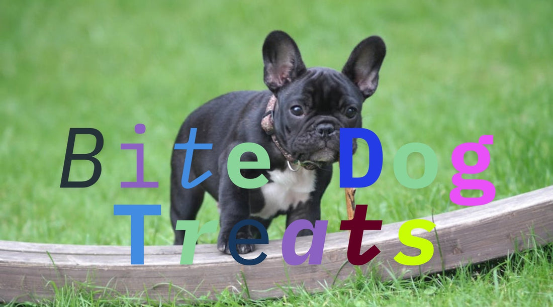 Bite-Sized Goodness for Happy Hounds - Tree Spirit Wellness