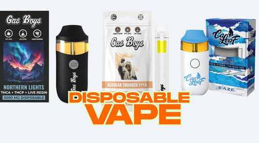 Effortless Vaping: The Simplicity of Disposable - Tree Spirit Wellness