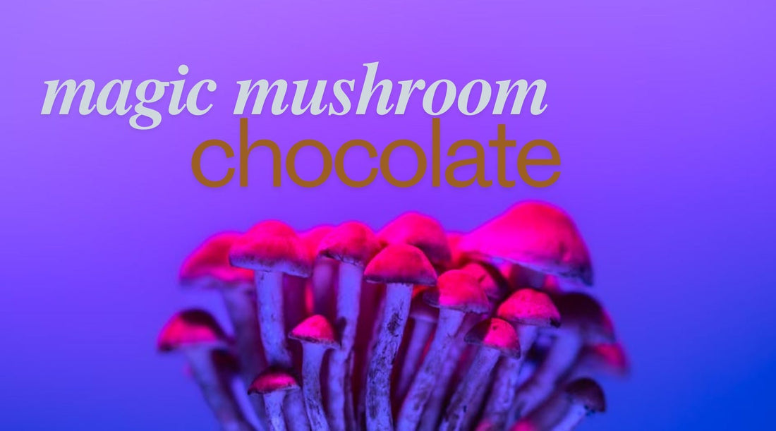 Embark on a magic mushroom chocolates Mystical Trip - Tree Spirit Wellness