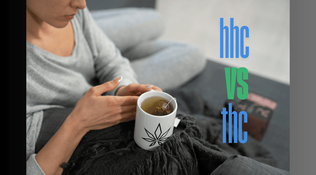 HHC vs THC: Key Differences and Similarities - Tree Spirit Wellness