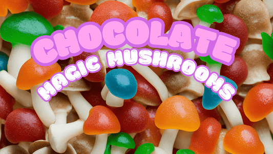 Magic Mushroom Chocolate: A Complete Guide to Psychedelic Edibles 🍄✨ - Tree Spirit Wellness