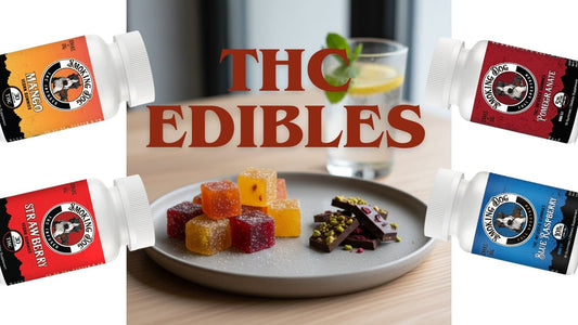 Navigating the World of THC Edibles: A Complete Guide - Tree Spirit Wellness