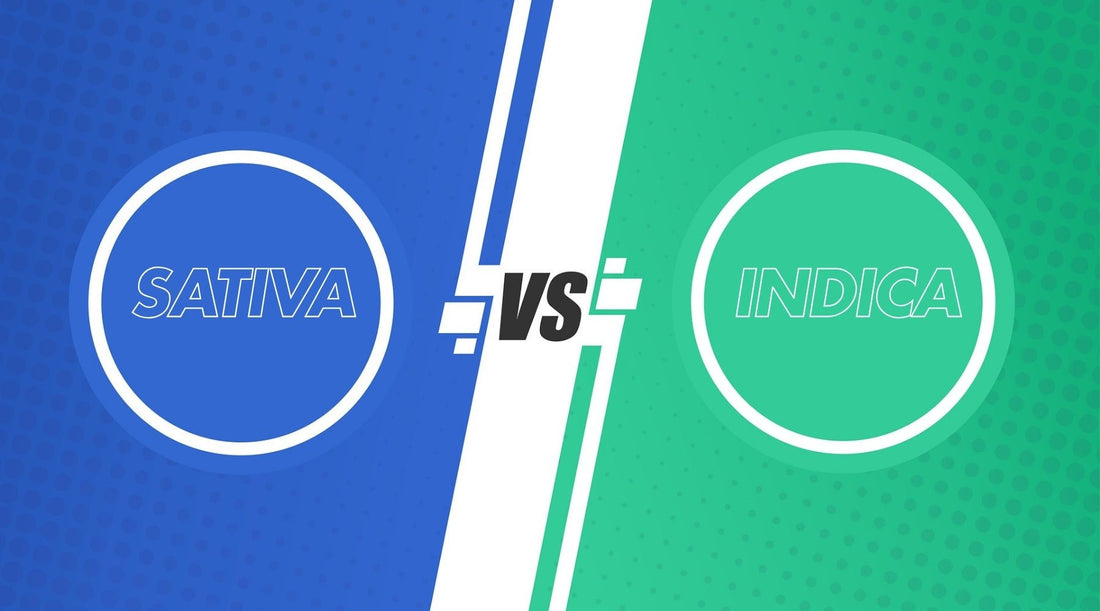 Sativa vs Indica: Know the Key Cannabis Differences - Tree Spirit Wellness