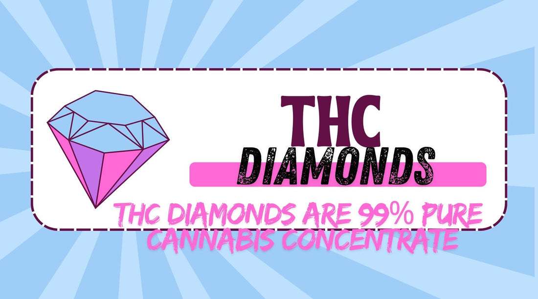 THC Diamonds: The Ultimate 2025 Guide to Potency, Purity & Power 💎 - Tree Spirit Wellness