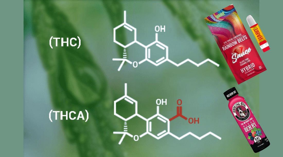 THC vs THCA: The Ultimate 2025 Guide to Cannabis Compounds 🔬 - Tree Spirit Wellness