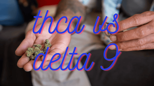 THCA vs. Delta-9: A Complete Guide to Cannabis’s Key Compounds - Tree Spirit Wellness