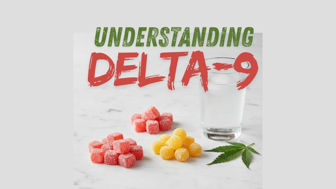 Understanding Delta-9 gummies: A Complete Guide to Modern Gummies - Tree Spirit Wellness