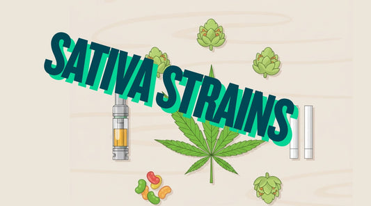 Understanding Sativa Strains - Tree Spirit Wellness